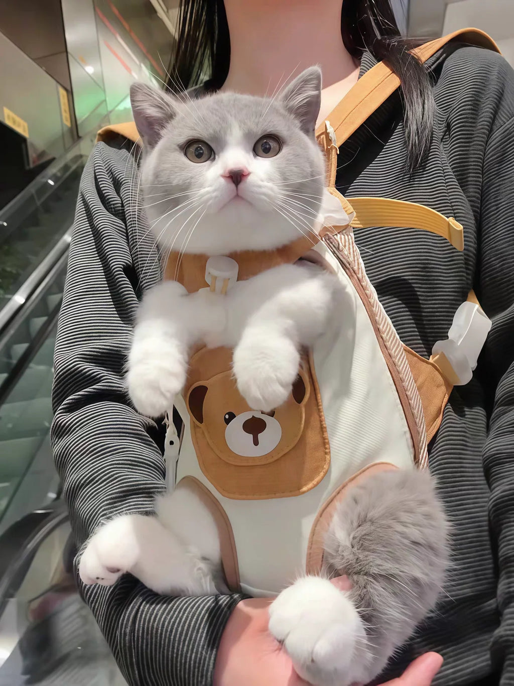 Mochila Portátil para Gatos y Perros Pequeños
