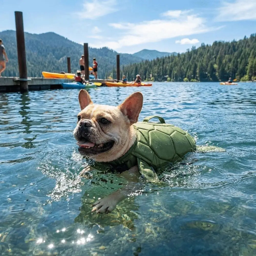 Chaleco Salvavidas para Perro Diseño Tortuga