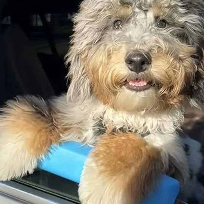 Cojín Reposabarbilla para Perro en Ventana del Coche